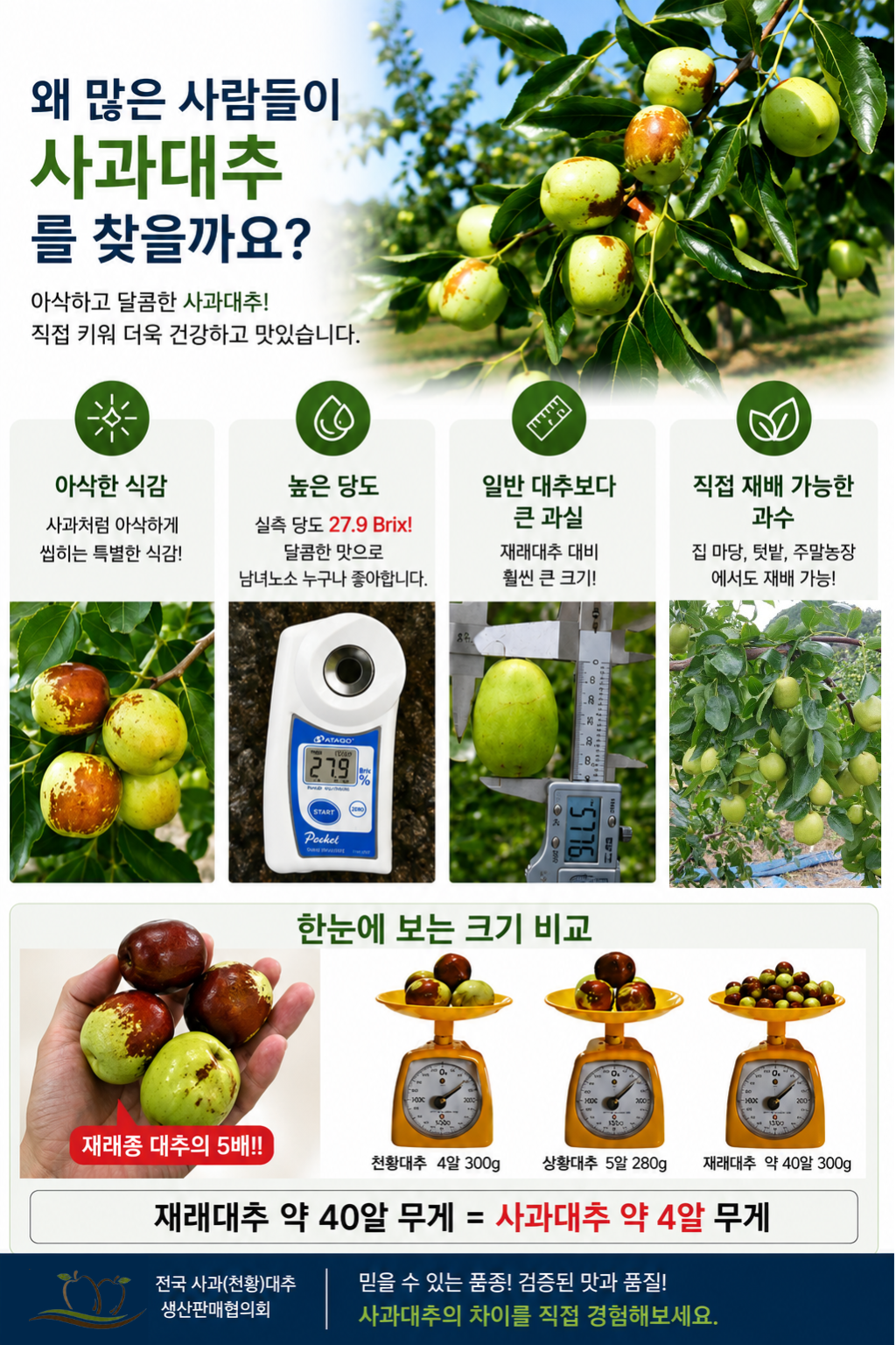 안내서 2페이지
