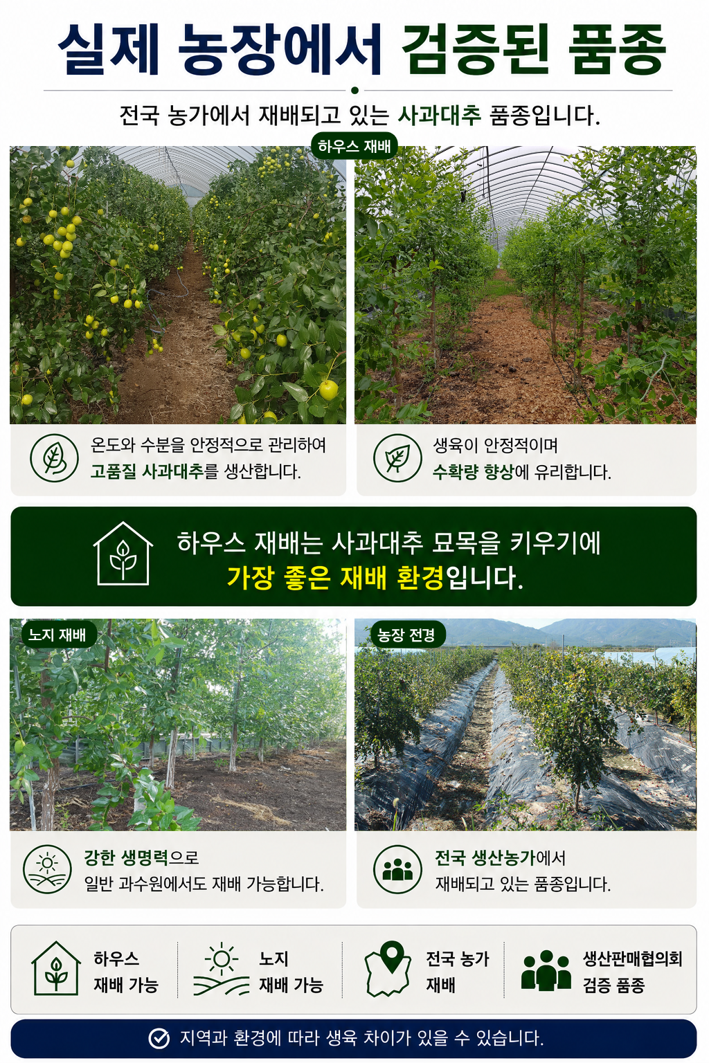 안내서 4페이지