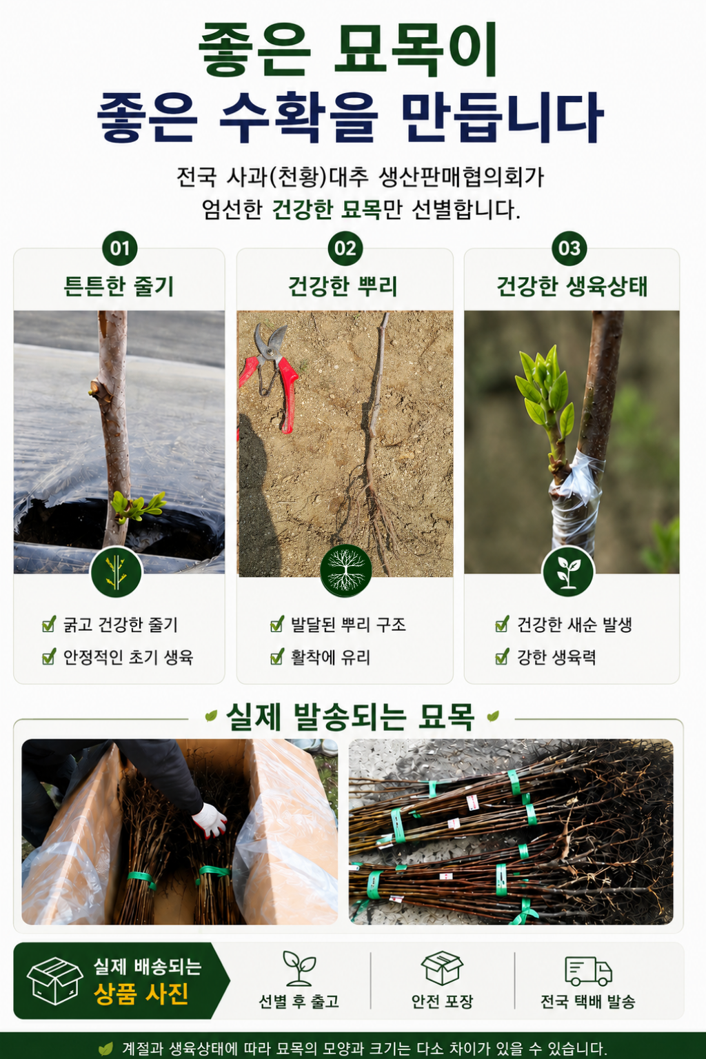 안내서 5페이지