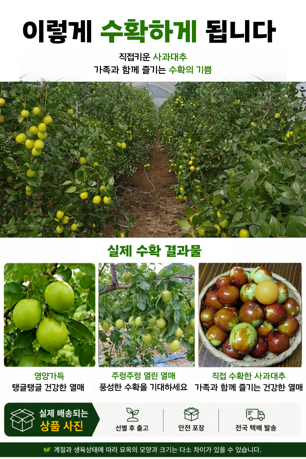 안내서 6페이지
